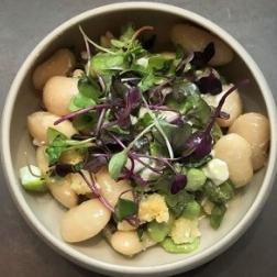 Fava Bean Salad